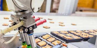 Current challenges in the Indian robotics ecosystem food-robotics