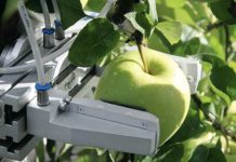 Top agricultural robots for harvesting and nursery
