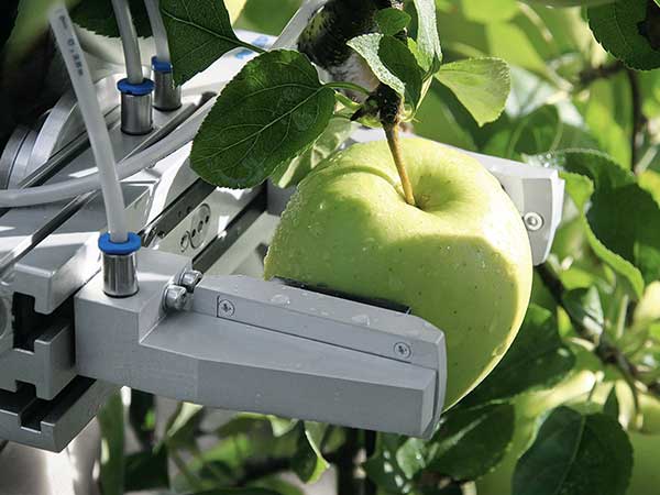 Harvest 2024 automation robot