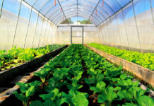 Precision agriculture is the future of farming – Doing more with less!