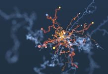 Deep learning vs. traditional computer vision – A comparison machine-learning