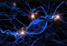 400 research papers in Artificial Neural Network – Free Download