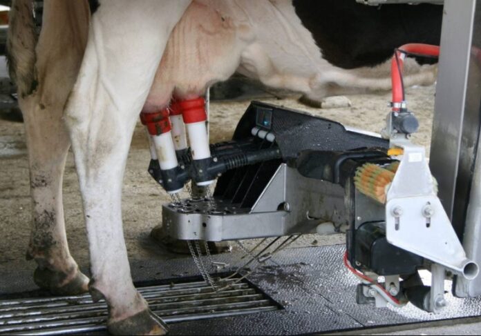 Get 30 Robotic Milking Machines For Cows 1835