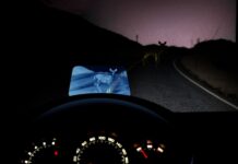 Use of Night Vision Systems in automobiles night-vision