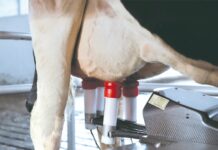 Automatic milking systems (AMS) – What they CAN and CANNOT do! Automatic milking systems (AMS)