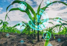 How precision agriculture is transforming modern farming precision agriculture