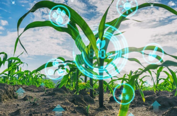 How precision agriculture is transforming modern farming precision agriculture