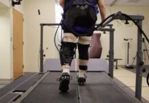 Lower limb exoskeletons – Everything you need to know Exoskeleton