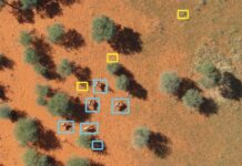 Drones: A big step in wildlife monitoring and conservation drone-wildlife