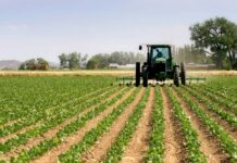 Common challenges and methods used in robotic weed control farm
