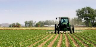 Common challenges and methods used in robotic weed control farm