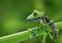 Building soft actuators for soft robots –  Methods explained soft actuators