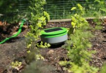 The use of autonomous robots in weed management and control weed robot