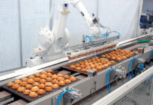 The prospects of using robots in food processing and manufacturing food