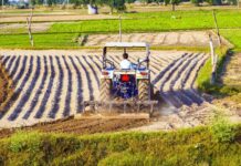 AgriFood tech: Essence and solutions AgriFood tech