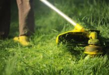 Yard Maintenance – 4 smart ways to minimize time and effort Yard Maintenance