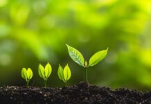 Wearable sensors for Plant Health Monitoring plant-health