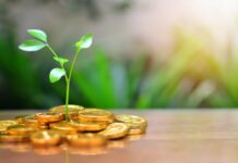 Looking for an investment venture in 2023? Three sectors to explore invest