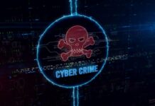 Types of organized cyber crimes in the cyberspace cyber-crime