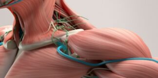 Pneumatic artificial muscle robots: Benefits and challenges artificial muscle