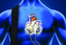 Total artificial heart (TAH) or bionic heart – Pros and cons tah