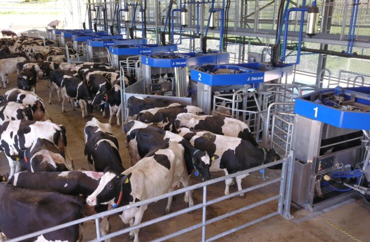 Top commercially available technologies for dairy cows automated milking systems