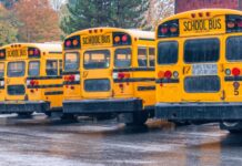 Autonomous school buses for children – Pros and cons school-bus