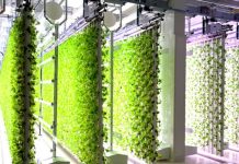 Biggest vertical farming companies leading the future of agriculture vertical farming