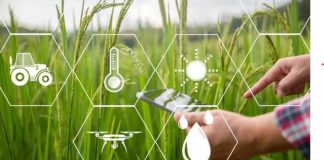 Top AI tools for smart farming in 2025 smart farming